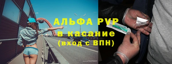 амф Володарск