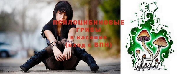 амф Володарск