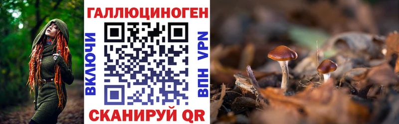 как найти   Назарово  Псилоцибиновые грибы мухоморы 