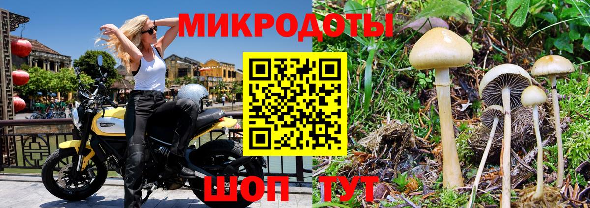 Псилоцибиновые грибы Psilocybe  Вход с VPN  Назарово  Галлюциногенные грибы ЛСД 