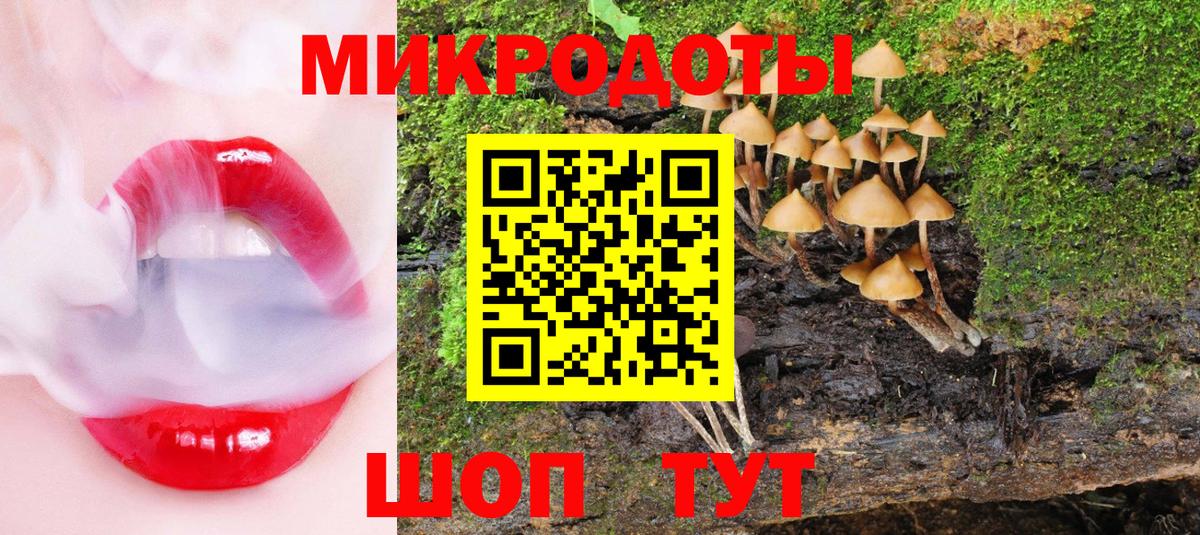 Галлюциногенные грибы Cubensis Назарово